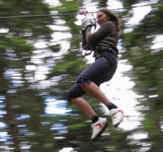  Ocio entre los árboles 